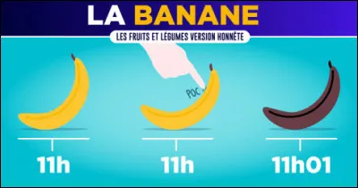 Les bananes > Nutritionnellement parlant, il vous en faut ... pour l'équivalent d'une seule ! Par contre, en conservateurs, vous serez gagnants !