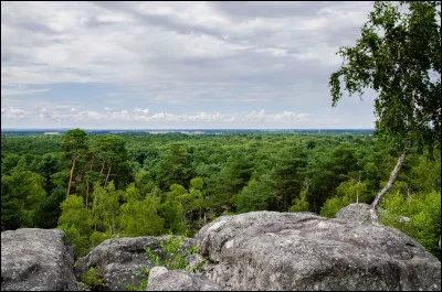 Située en Seine-et-Marne, cette forêt couvre une superficie de 25 000 ha. Elle porte le nom de la ville qui se situe à proximité de la Seine qui en fait une frontière naturelle.
Il s'agit de la...