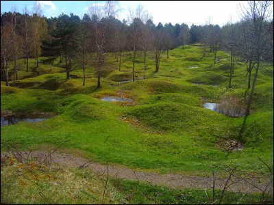 Cette forêt se trouve au nord d'une ville célèbre pour sa triste bataille qui se déroula en 1916. Elle fut entièrement replantée à partir de 1927 après 10 ans de déminage.
Il s'agit de la forêt de...