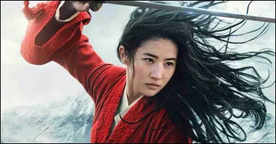 Que signifie le nom "Mulan" ?