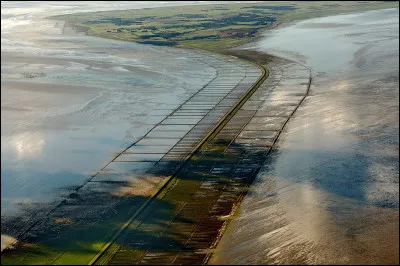 Mais qu'avez-vous là, devant vos yeux esbaudis ?