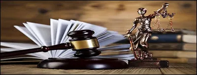 Quelle expression appartient au domaine du droit ?