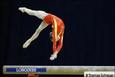 Comment appelle-t-on cet élément à la poutre ?