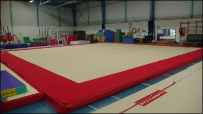 Quel est le nom de ce tapis ?