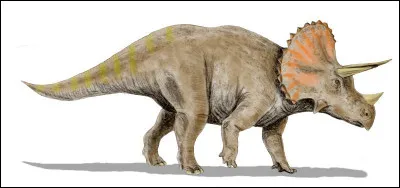 Quel est ce dinosaure herbivore du Crétacé supérieur ?