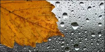 Qui a chanté "Toute la pluie tombe sur moi" en 1975 ?