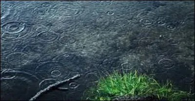 Dans quel célèbre film Disney peut-on entendre la chanson "La chanson de la pluie" ?