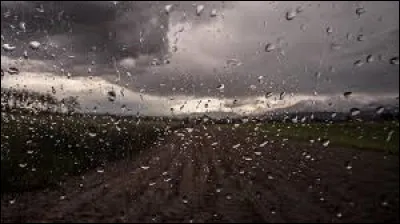 Laquelle des chanteuses a sorti un album en 2010 intitulé "La Pluie sans parapluie" ?