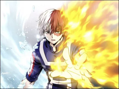 Combien y a-t-il de détenteurs du One For All ?