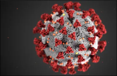 Quelle est cette maladie ?