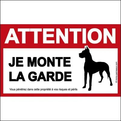 Est-ce que lobjectif est davoir un chien de garde ?