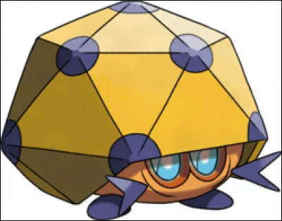 Quels sont les types de Coléodôme ?