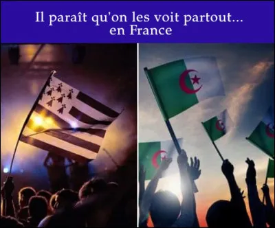 Ici, on aime bien le drapeau > Il y en a partout : vêtements, casquettes, voitures, maisons, etc. À l'école, les enfants doivent lui prêter allégeance chaque ...