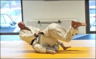 Comment se nomment en japonais, les techniques au sol ?