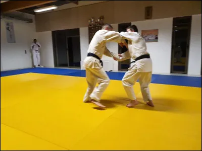 Suite de la question précédente. 
Comment se nomment en japonais, les techniques dites "debout" ?