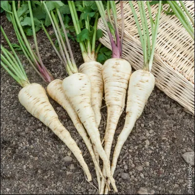 "Sac'h panez" : tenez, je vous en mets 1 kg, pour vous aider...