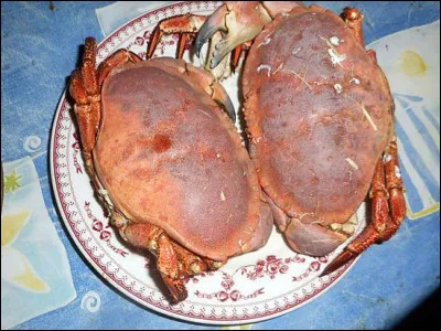 Cr comme crabe : la chair duquel est réputée meilleure ?