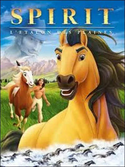 En quelle année est sorti le film "Spirit, l'étalon des plaines" ?
