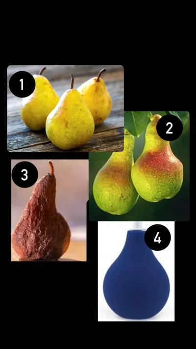 Laquelle de ces poires préfères-tu ?
