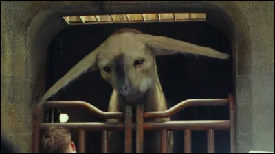 Dans quel film peut-on voir les grands chevaux appel&eacute;s Fathiers ?