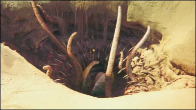 Comment s'appelle le monstre, utilis&eacute; par Jabba le Hutt sur Tatooine, ayant aval&eacute; Boba Fett ?