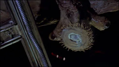 De quelle esp&egrave;ce sont les cr&eacute;atures qui mangent les c&acirc;bles &eacute;lectriques ?