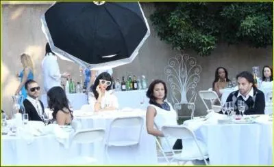 Quel duo chante ' If we ever meet again ' ?