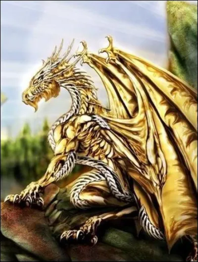 Quel est ce dragon ?