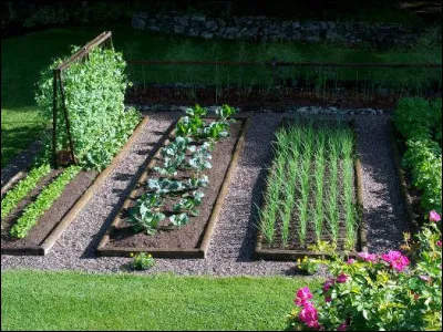 Hu comme humifère : comment est un sol humifère ? (photo purement décorative)