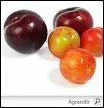 Quelle est la couleur de la varit de prune appele quetsche ?