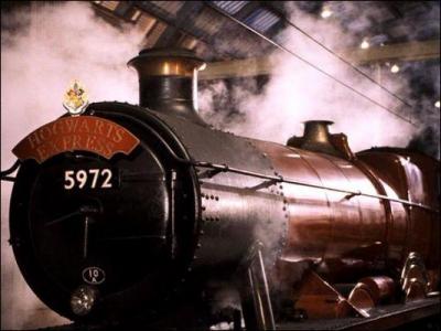 Quelle remarque fait Hermione  Ron lors de leur 1re anne dans le Poudlard Express ?