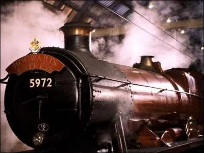 Quelle remarque fait Hermione à Ron lors de leur 1ère année dans le Poudlard Express ?