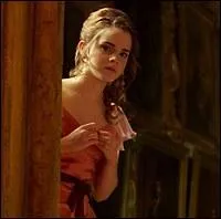 Avec qui Hermione va-t-elle au Bal de Nol ?