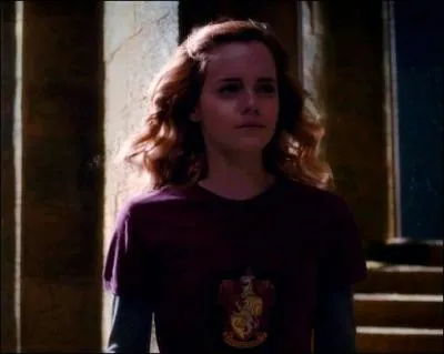 Quel sort Hermione jette-t-elle  Ron aprs qu'il a embrass Lavande ?