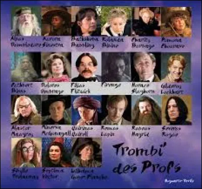Quel professeur de Poudlard aimes-tu le plus ?