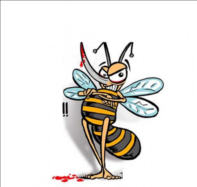 Quel dessinateur de BD belge est l'auteur de cette citation : ''Si les moustiques étaient des abeilles, ils ramèneraient du sang à la ruche et la reine ferait du boudin.'' ?