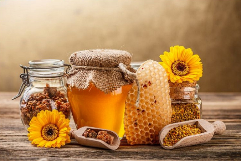 Quel est le nom de la pratique médicale par laquelle on soigne en utilisant les diverses productions des abeilles, tels que le miel, leur venin et la gelée royale ?