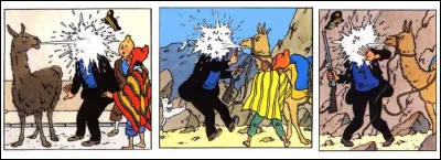 Le lama > Nonobstant l'attitude particulière du capitaine à l'égard de ce ruminant, que peut-on dire de ces scènes peu ragoûtantes ?