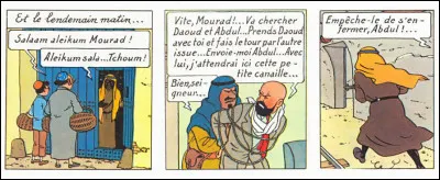 Modes & traditions > Voici trois cases tirées de "Tintin au Pays l'Or noir" : quelle(s) réflexion(s) pertinente(s) appellent-elles ?