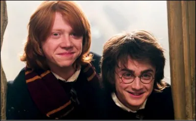 O&ugrave; Harry et Ron Weasley se rencontrent-ils ?