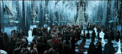 De quelle couleur est la robe d'Hermione au bal de No&euml;l, dans les livres et dans les films ? (Deux r&eacute;ponses)