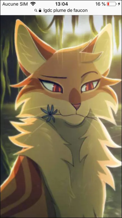 Qui est la sœur de Plume de Faucon ?