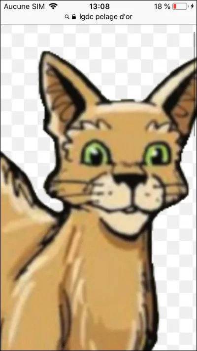 Qui est la mère de Plume de Faucon ?