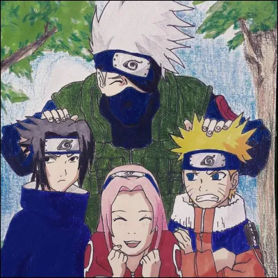 Quel ninja de l'&eacute;quipe 7 aimes-tu ?