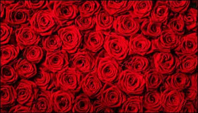 À quel groupe doit-on la chanson "Savoure le rouge" en 1993 ?