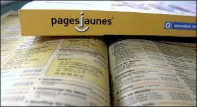 Que trouve-t-on dans l'annuaire des Pages jaunes ?