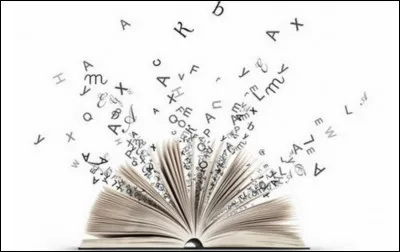 Ok, passons à autre chose. Aimes-tu le français et tout ce qui est vocabulaire ?