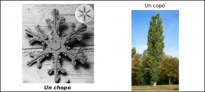 Est-ce vrai ou faux ?