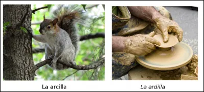 Est-ce vrai ou faux ?