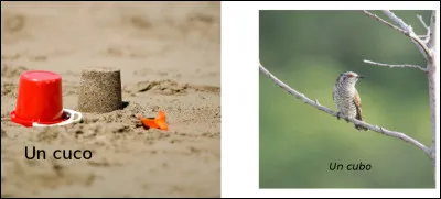 Est-ce vrai ou faux ?